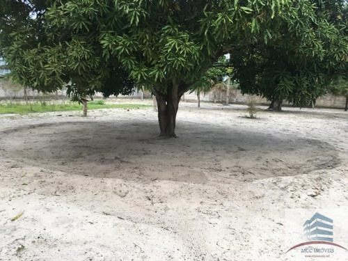 Granja A Venda Em Macaíba