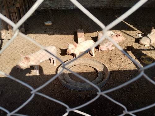 Terreno En Venta En Unquillo