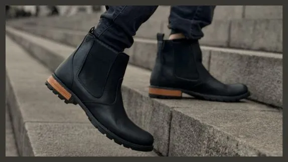 Borcegos