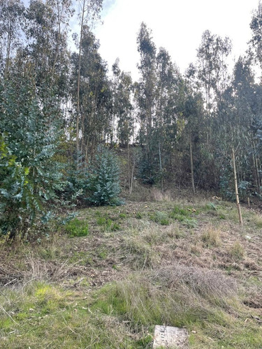 Tres Sitios Urbanos Camino Dolores Jeria Navidad A Matanzas