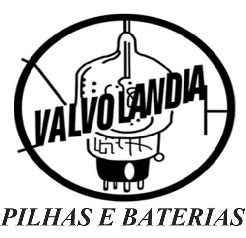 Pilha Recarregavel Aaa 1100mah C/4 1,2v Flex