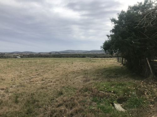 Chacra A 15 Minutos De Punta Del Este. 3 Dormitorios, Casita De Huespedes, Capacidad 10 Personas- Ref: 1135