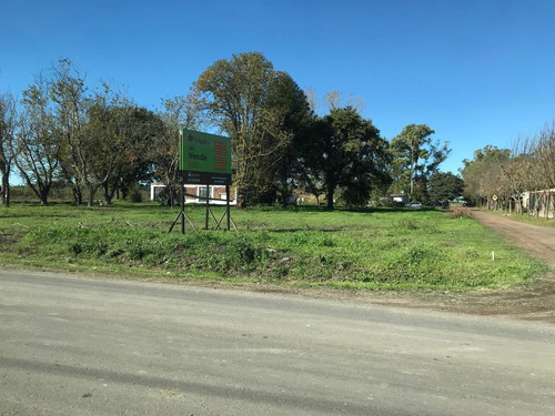 Imagen 12 de 30 de Terreno - Ibarlucea