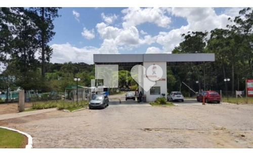 Imagem 6 de 9 de Terreno - Sao Lucas - Ref: 14681 - V-240072