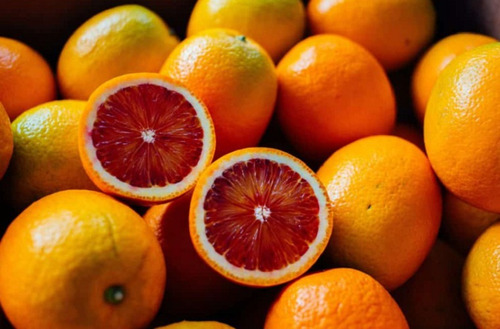 20 Semillas De Naranja Sanguina + Instructivo 