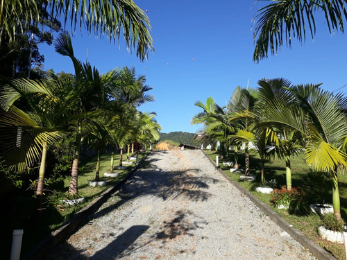 Sonho De Sítio Realizado! 3000m2 Com Casa
