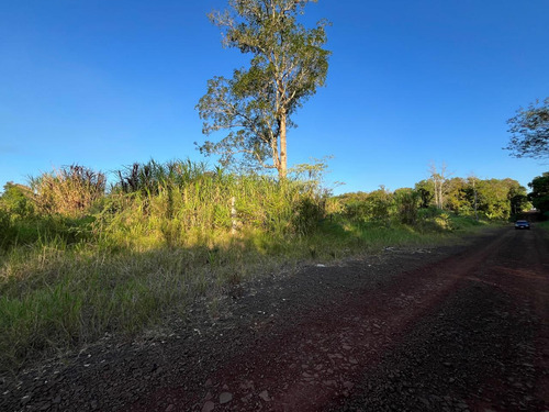 ¡gran Lanzamiento! Loteo Bernal, Km10 De Eldorado - Misiones