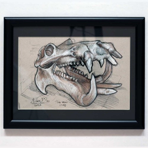 Arte Original Firmado, Estudio De Hipopótamo