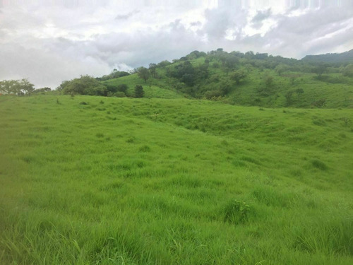 Imagen 20 de 23 de Rancho Las Buganvilias! Dream Opportunity!
