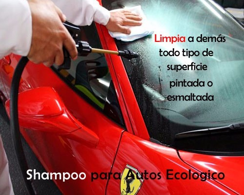 Imagen 6 de 6 de Shampoo Para Autos - Ecologico, Limpia Y Encera