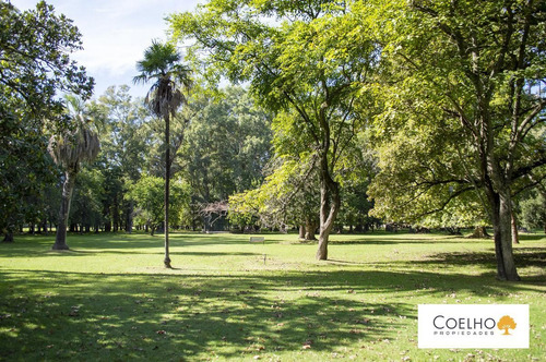 Imagen 5 de 30 de Terreno - Carmen De Areco