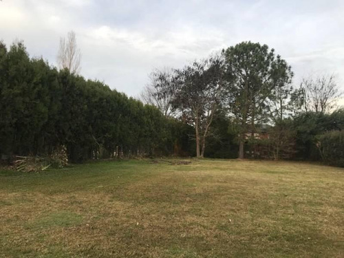 Imagen 4 de 6 de Maroto Propiedades - Vende - Lote - Septiembre