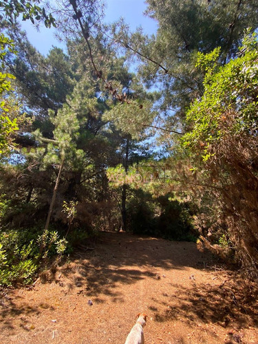 En Venta Excelente Sitio A 5 Minutos De Puertecillo