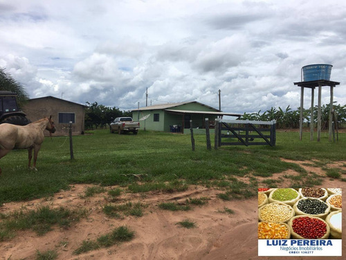 Imagem 5 de 8 de Fazenda À Venda Em Camapuã - Ms - De 865 Hectares (pecuária) - 1674