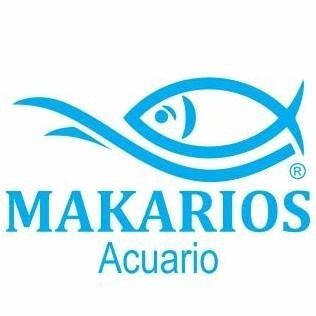 Tetra Aquasafe Plus 250ml Acondicionador Acuario Anticloro