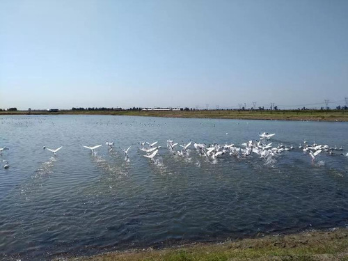 Venta De Terreno - Lote En Haras De Funes