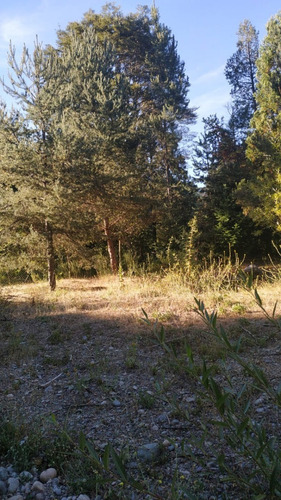 Imagen 3 de 12 de Terreno 450 Mt2 Lago Puelo Con Arboles Autoctonos Cercado