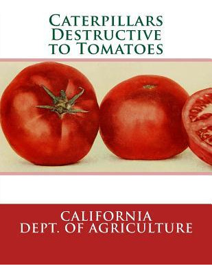 Libro Caterpillars Destructive To Tomatoes - California D...