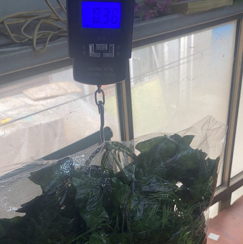 Guirnalda De Hojas De Hiedra Artificial De 12 Hebras De 86 P
