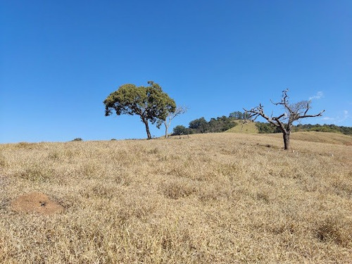 Imagem 4 de 10 de Chácara À Venda, 84700 M² Por R$ 850.000,00 - Água Comprida - Cambuí/mg - Ch0108