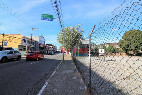 Imagem 8 de 15 de Terreno Com 1062 M² Para Locação Na Vila Galvão! - Te0014