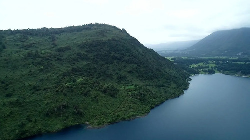 Remate - Futrono/lago Ranco - 60 Hectáreas