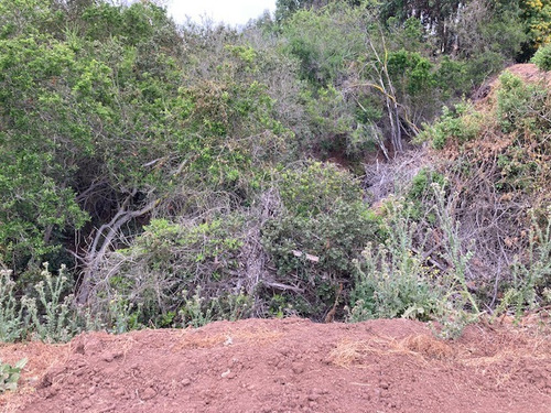 Se Vende Terreno 3.800 M2 Con Cabaña 72 M2 Uf 4.650 Quintero