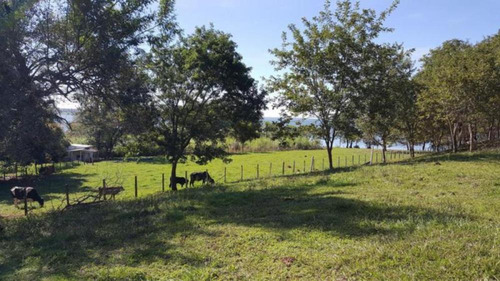 Imagem 6 de 9 de Sítios - Ref: V5260