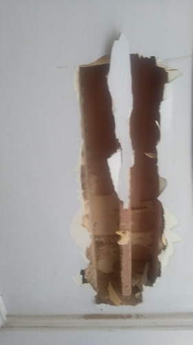 Imagem 4 de 5 de Dedetização Geral Barreira Química E Desratização