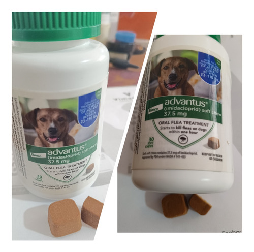 Pastillas Garrapaticida Y Pulguicida Para Perros Y Gatos 