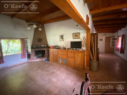 5 Has En Veronica - Chacra En Venta Con Importante Arboleda
