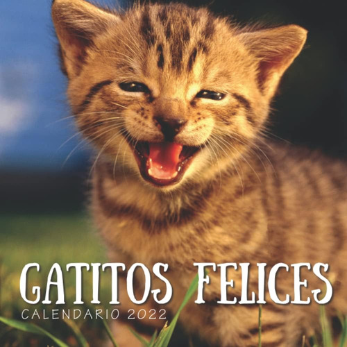 Libro: Gatitos Felices Calendario 2022: Calendario 12 Meses