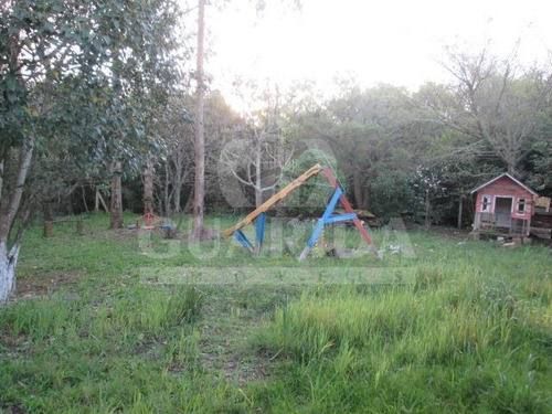 Imagem 4 de 4 de Sitio - Lami - Ref: 151022 - V-151022