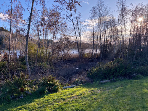 Parcela De 5000 M2 Orilla Rio Sector Quita Calzón, Valdivia