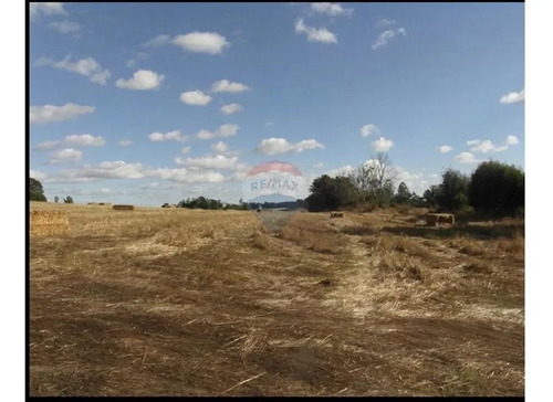 Terreno 4,8 Ha En Temuco ¡ideal Para Un Proyecto!