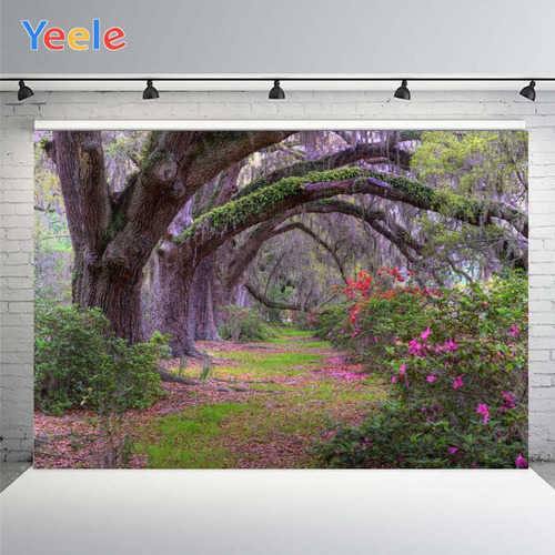 Árbol Forestal De 210 X 150 Cm, Ramas Dobladas, Flores Que C