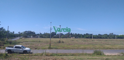 Imagen 5 de 10 de Terrenos En Venta En Lagomar, Ii Etapa , Fraccionamiento Almenara