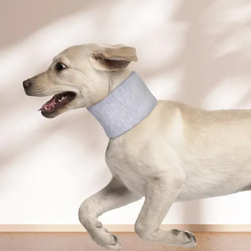 Collarín Cónico Para Hámster | Collar Isabelino Anti-Lamido Para Collarín Cónico Para Hámster | Collar Isabelino Anti-Lamido Para