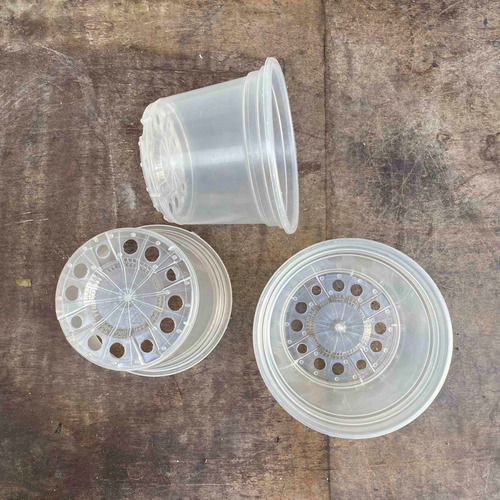 Kit 10 Vasos Transparentes Plástico 14cm P/ Orquídea Adulta