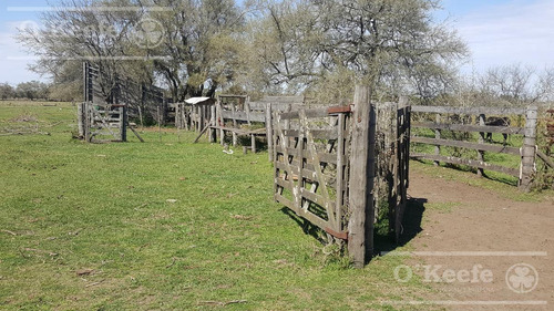 Imagen 16 de 22 de Chacra De 28 Has En Venta - Casco Y Producción