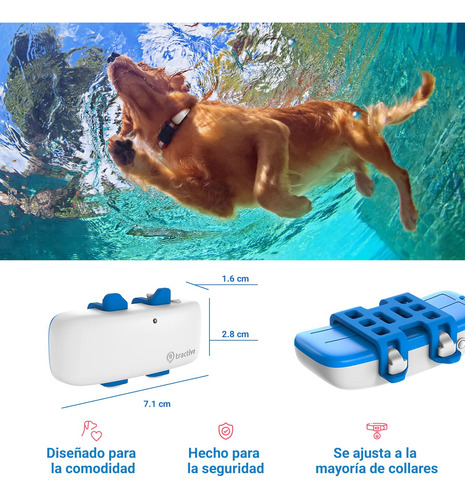 Tractive - Localizador Gps Para Perros. Localización Ilimita