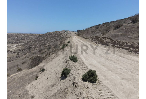 Se Vende Parcela 5000mt2 Sector Tongoy