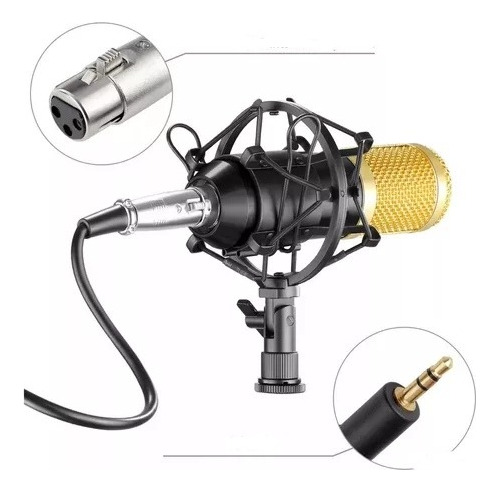 Microfone Profissional Condensado Bm800+pop Filter