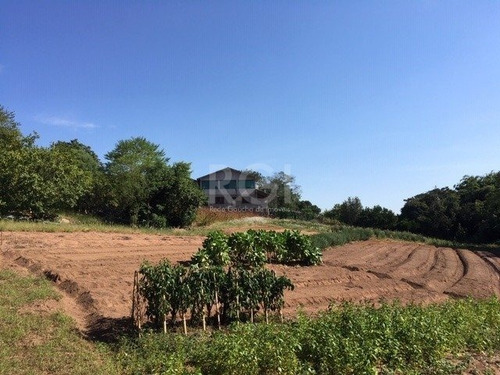 Area Em Vila Nova - Lu430623