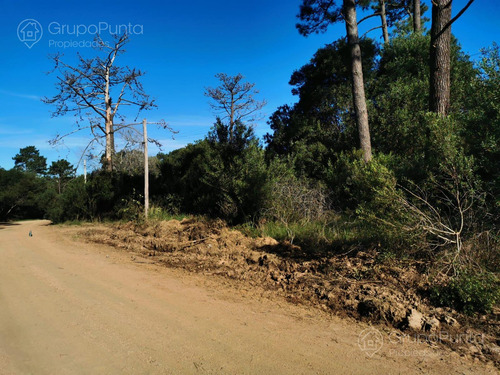 Terrenos en venta - Ocean Park