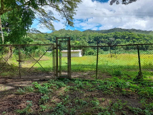 Imagen 7 de 30 de Finca En Guigue, 35 Hectareas. 5610462