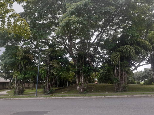 Imagen 5 de 7 de Venta De Parcela Plana En Lomalinda Primera Etapa