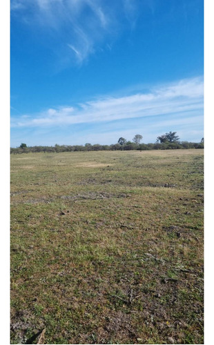 Se Vende Terreno De 5000 M2. Ñiquen