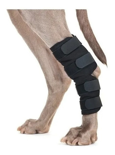 Protector De Tarso Para Perros De Neoprene