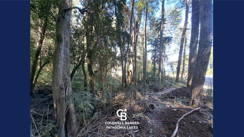 Imagen 5 de 15 de Venta Lote/terreno 3874 M2 Barrio Bandurrias Vista Al Lago Excelente Ubicación Villa La Angostura